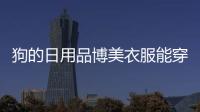 狗的日用品博美衣服能穿嗎？小博美狗狗衣服制作過程圖解