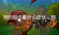 狗的腦炎是什么癥狀，狗的腦炎前兆