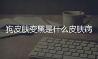 狗皮膚變黑是什么皮膚病(狗狗皮膚變黑掉毛是什么原因)