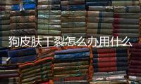狗皮膚干裂怎么辦用什么藥？狗皮膚干裂怎么辦啊