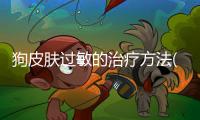 狗皮膚過敏的治療方法(臉皮膚過敏怎么治)