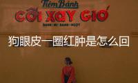 狗眼皮一圈紅腫是怎么回事兒(狗眼皮紅腫突出是怎么回事)