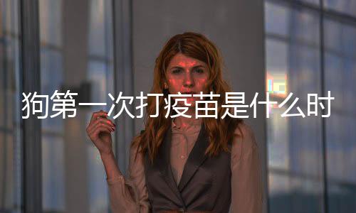 狗第一次打疫苗是什么時候(狗第一次疫苗怎么打)