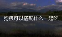狗糧可以搭配什么一起吃(狗狗狗糧搭配什么東西)