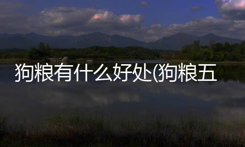 狗糧有什么好處(狗糧五谷什么好處)