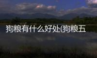 狗糧有什么好處(狗糧五谷什么好處)