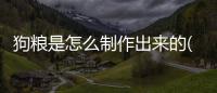 狗糧是怎么制作出來的(顆粒狗糧制作配方)