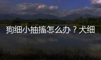 狗細小抽搐怎么辦？犬細小抽搐怎么回事