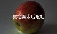 狗絕育術(shù)后嘔吐