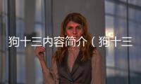 狗十三內容簡介（狗十三主要講的什么）