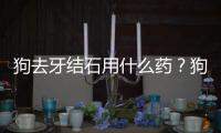 狗去牙結(jié)石用什么藥？狗去牙結(jié)石的藥水
