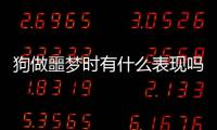 狗做噩夢時有什么表現嗎？狗做噩夢的反應