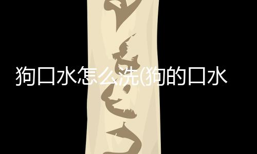 狗口水怎么洗(狗的口水怎么處理)