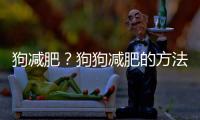 狗減肥？狗狗減肥的方法和秘訣