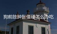 狗前肢腫脹僵硬怎么辦吃什么藥(狗前肢腫脹僵硬怎么辦啊)
