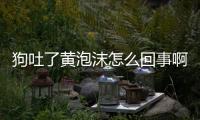 狗吐了黃泡沫怎么回事啊？狗狗吐了黃泡沫是怎么回事