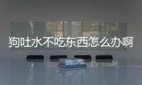 狗吐水不吃東西怎么辦啊