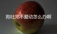 狗吐完不愛動怎么辦啊
