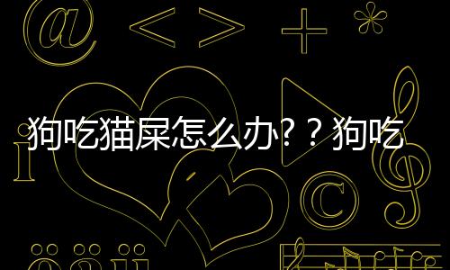 狗吃貓屎怎么辦?？狗吃貓屎怎么辦小妙招