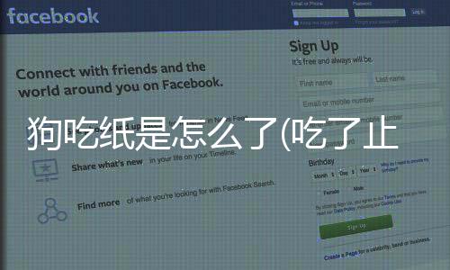 狗吃紙是怎么了(吃了止瀉藥吐了怎么辦)