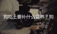 狗吃土要補什么營養？狗吃土要補什么維生素