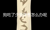 狗吃了少量洋蔥怎么辦呢有事嗎(狗吃了異物怎么辦)