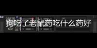 狗吃了老鼠藥吃什么藥好(貓吃了老鼠藥吃什么藥解救)
