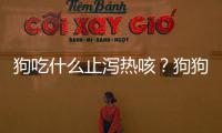 狗吃什么止瀉熱咳？狗狗吃什么解熱