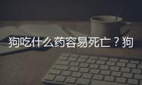 狗吃什么藥容易死亡？狗吃什么藥容易死的快
