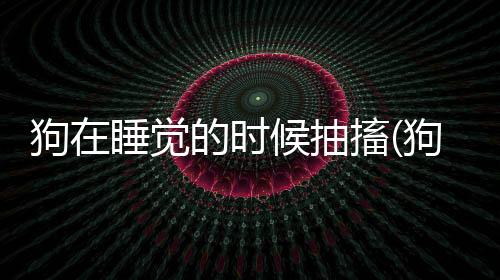 狗在睡覺的時候抽搐(狗睡覺的時候身體抽搐是為什么)