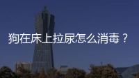 狗在床上拉尿怎么消毒？狗狗尿在床單上怎么辦