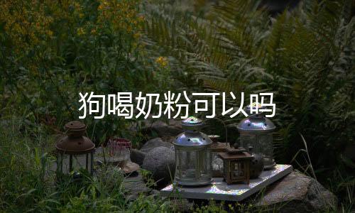 狗喝奶粉可以嗎