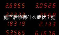 狗產(chǎn)后熱有什么癥狀？狗狗產(chǎn)后熱要怎么退燒