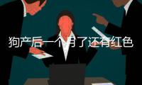 狗產后一個月了還有紅色粘液(狗產后抽搐應急辦法)