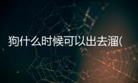 狗什么時候可以出去溜(狗什么時候能帶出去溜)