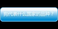 狗代表什么國家的品種？狗是哪個(gè)國家的吉祥物