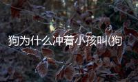 狗為什么沖著小孩叫(狗為什么對著小孩總是要叫)