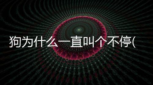 狗為什么一直叫個不停(小奶狗為什么一直叫)
