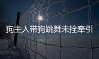 狗主人帶狗跳舞未拴牽引繩，犬只亂跑絆倒他人致十級傷殘