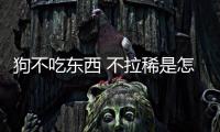 狗不吃東西 不拉稀是怎么回事啊