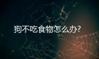 狗不吃食物怎么辦?