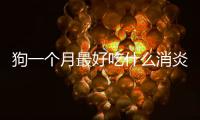 狗一個月最好吃什么消炎藥呢？小狗一個月吃什么狗糧