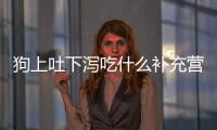 狗上吐下瀉吃什么補充營養？狗上吐下瀉吃什么食物