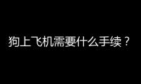 狗上飛機需要什么手續(xù)？狗坐飛機需要什么證件怎么收費