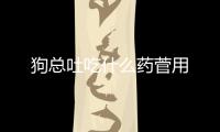 狗總吐吃什么藥菅用