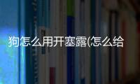 狗怎么用開塞露(怎么給狗上開塞露)