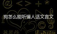 狗怎么能聽懂人話文言文？狗怎么能聽懂人話呢