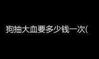 狗抽大血要多少錢一次(狗抽血能抽多少毫升)