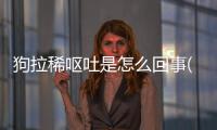 狗拉稀嘔吐是怎么回事(狗狗拉稀是怎么回事)