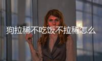 狗拉稀不吃飯不拉稀怎么回事啊